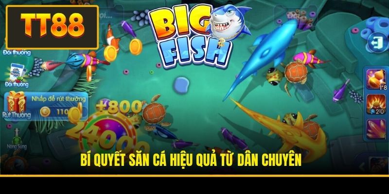 Bí quyết săn cá hiệu quả từ dân chuyên 