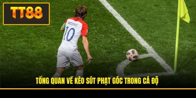 Nhận Định Kèo Phạt Góc - Top 3 Chiến Thuật Phân Tích Ở TT88 2 Tổng quan về kèo sút phạt góc trong cá độ