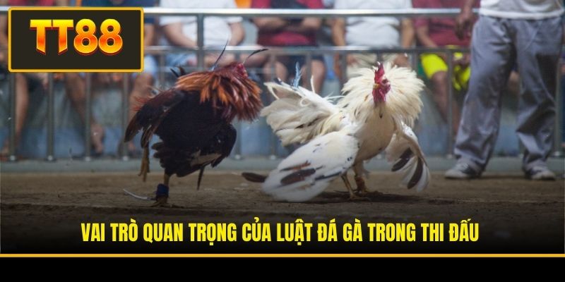 Vai trò quan trọng của luật đá gà trong thi đấu